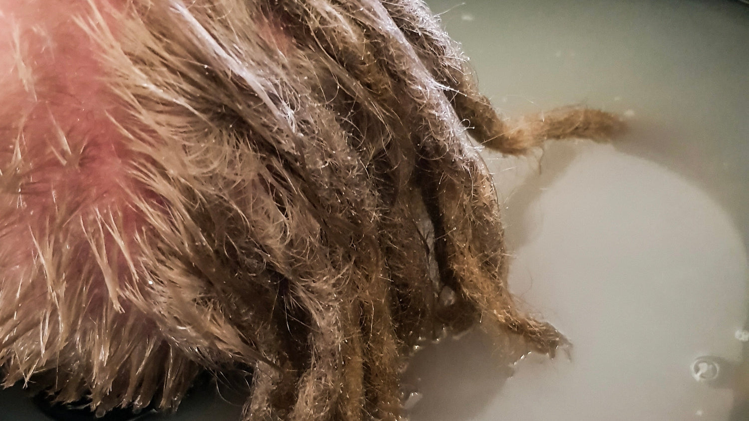 Dreadlock Detox Guide