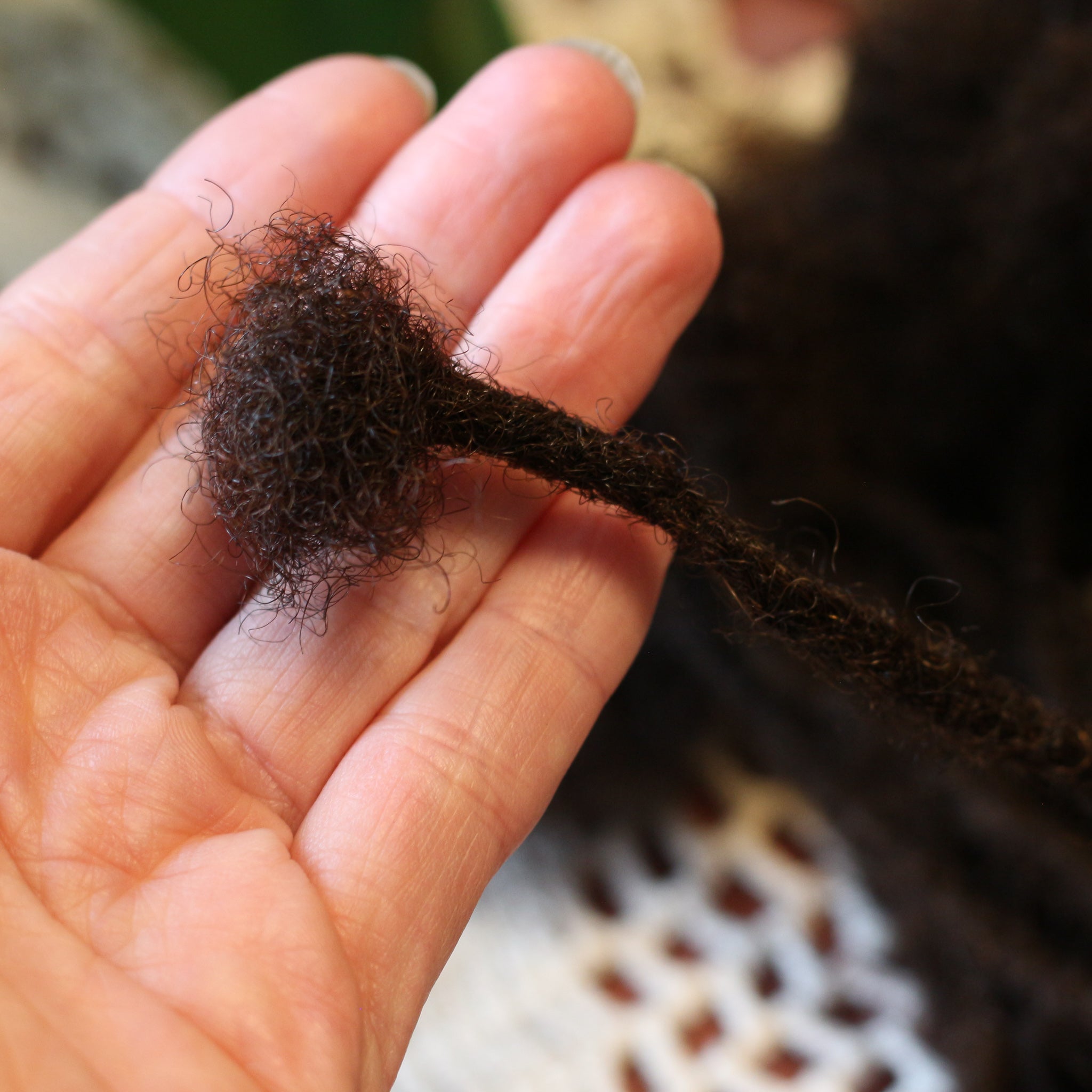 Afro Kinky Dreadlocks - Brun