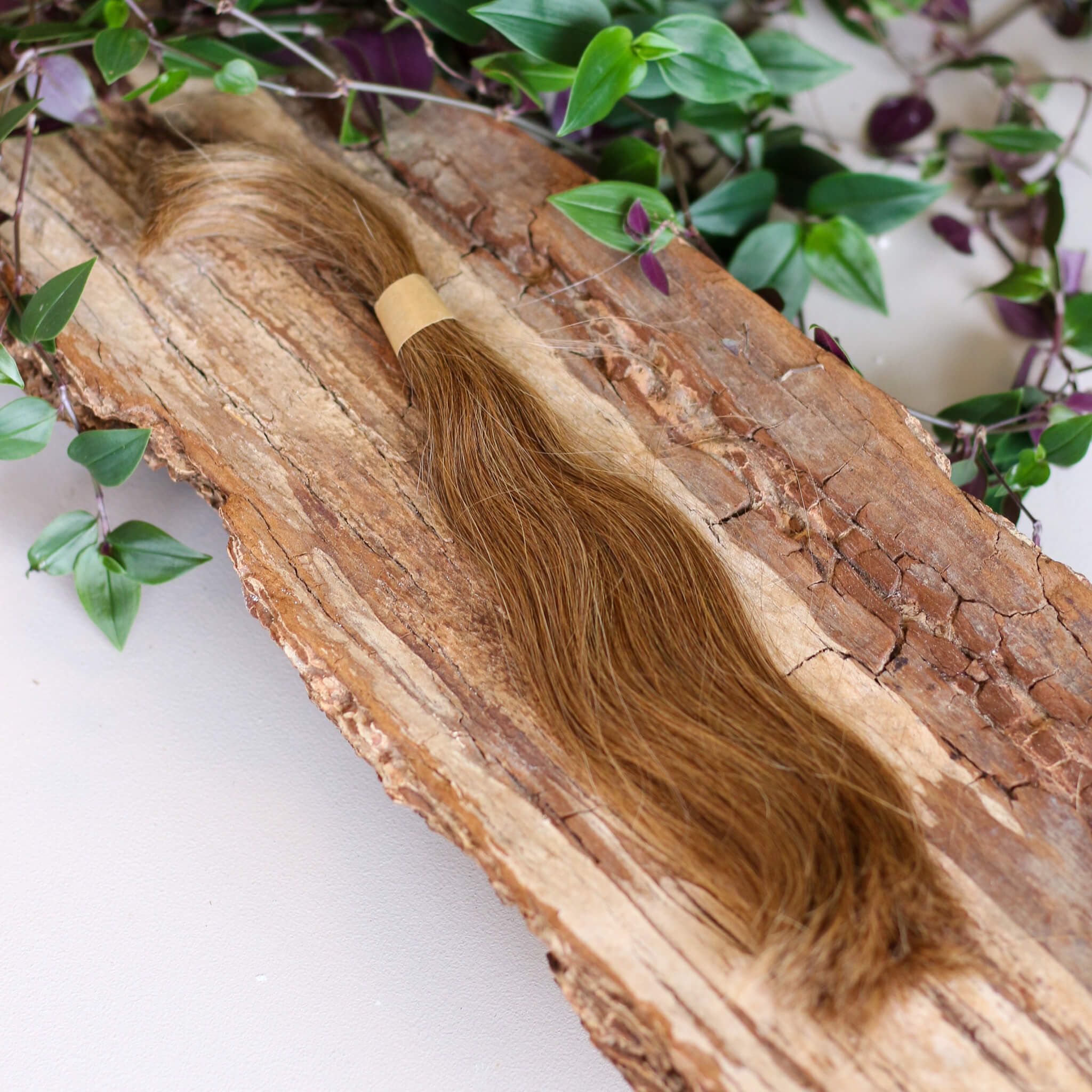 Schnitthaar – Europäisches echt Haar – 25 g