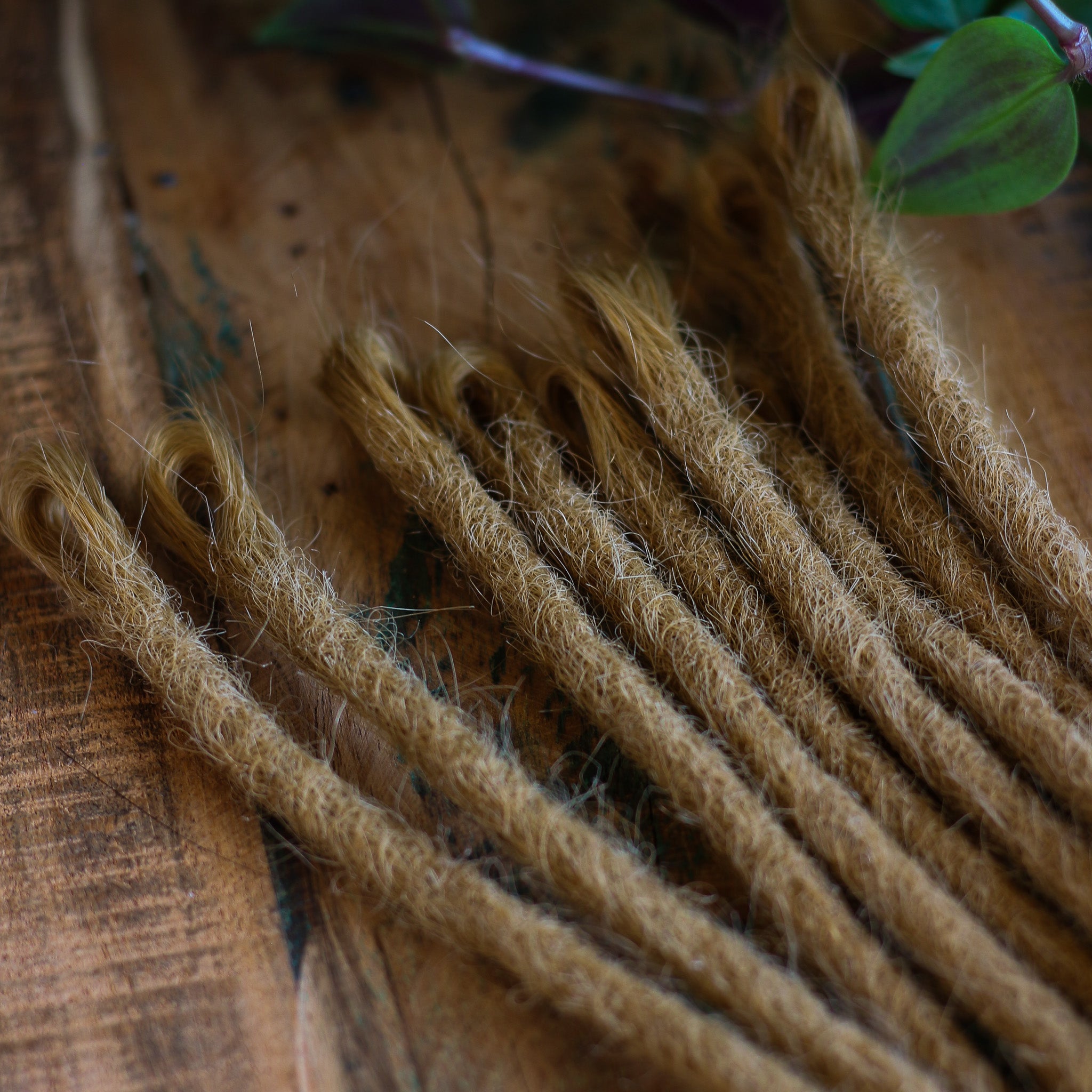 SE (Single Ended) Echthaar-Dreadlocks – Dunkelblond