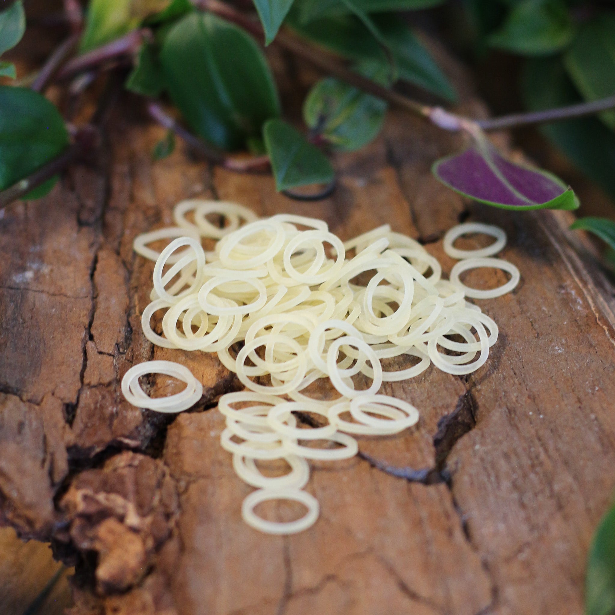 Naturlig Latex Dreadlock Elastikker