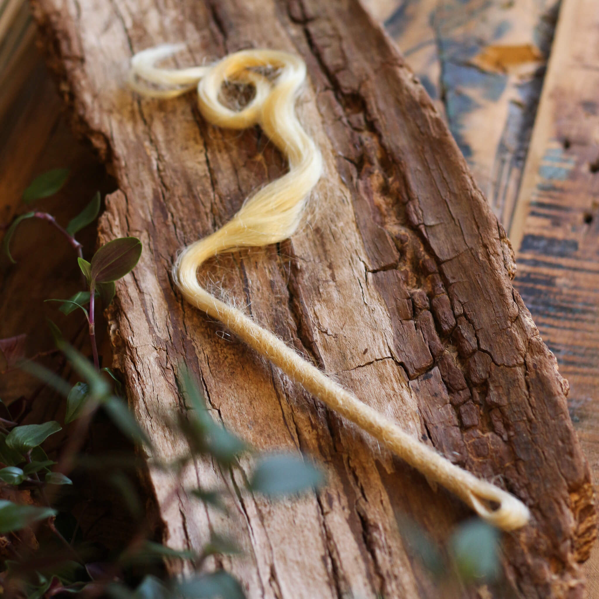 Single Ended (SE) Mermaid / Effect Locks