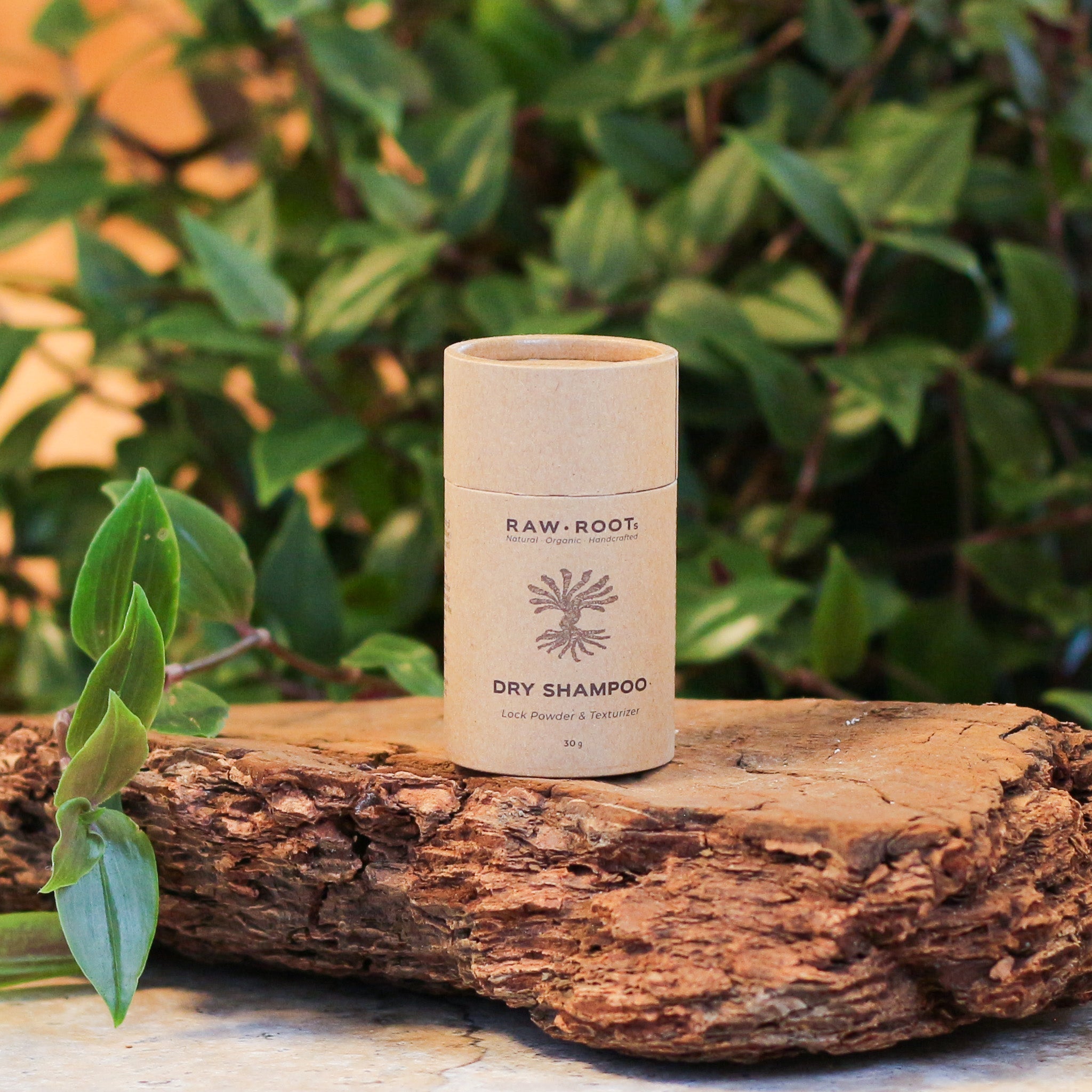 Dry Shampoo & Lock Powder