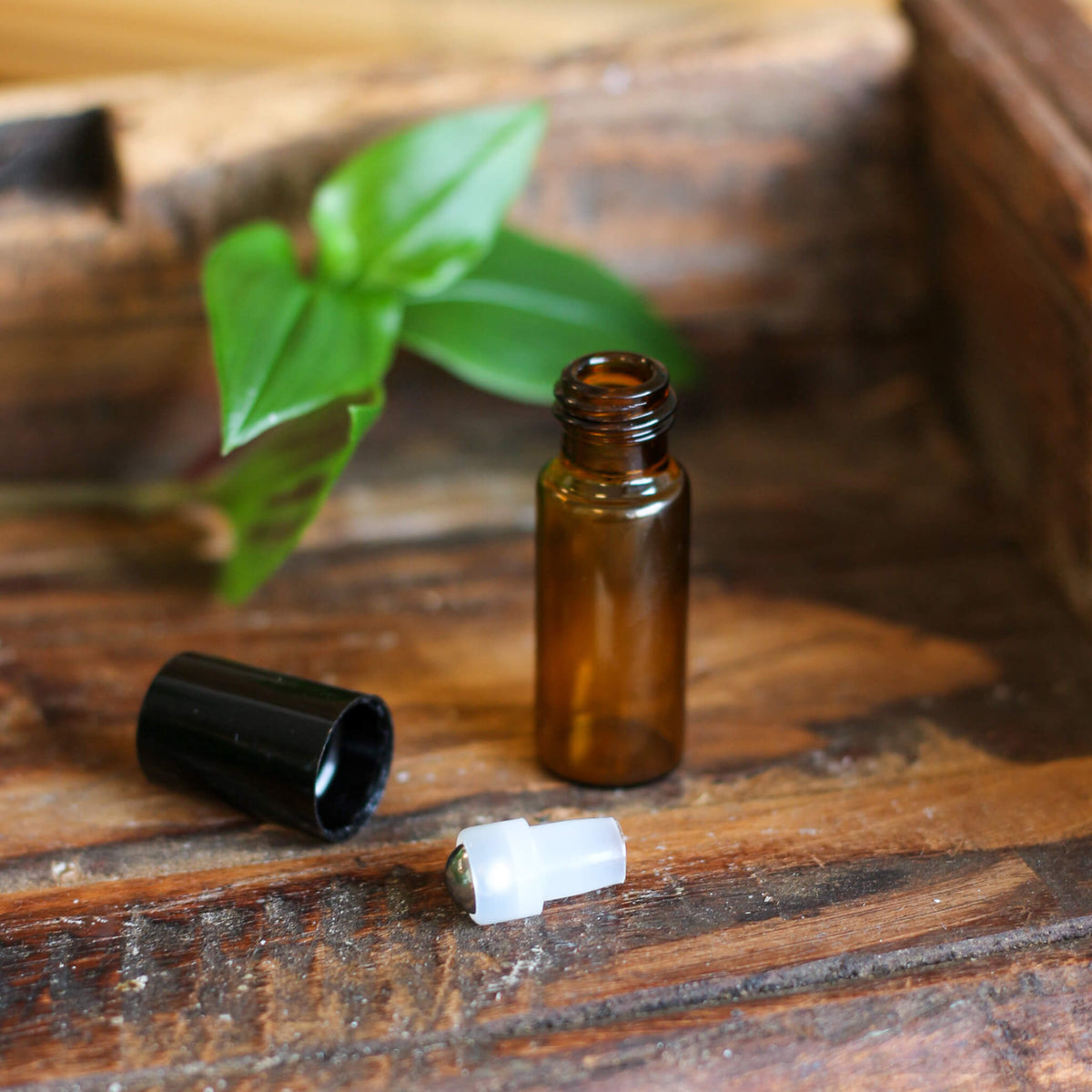 Scalp Oil Rollerflasche