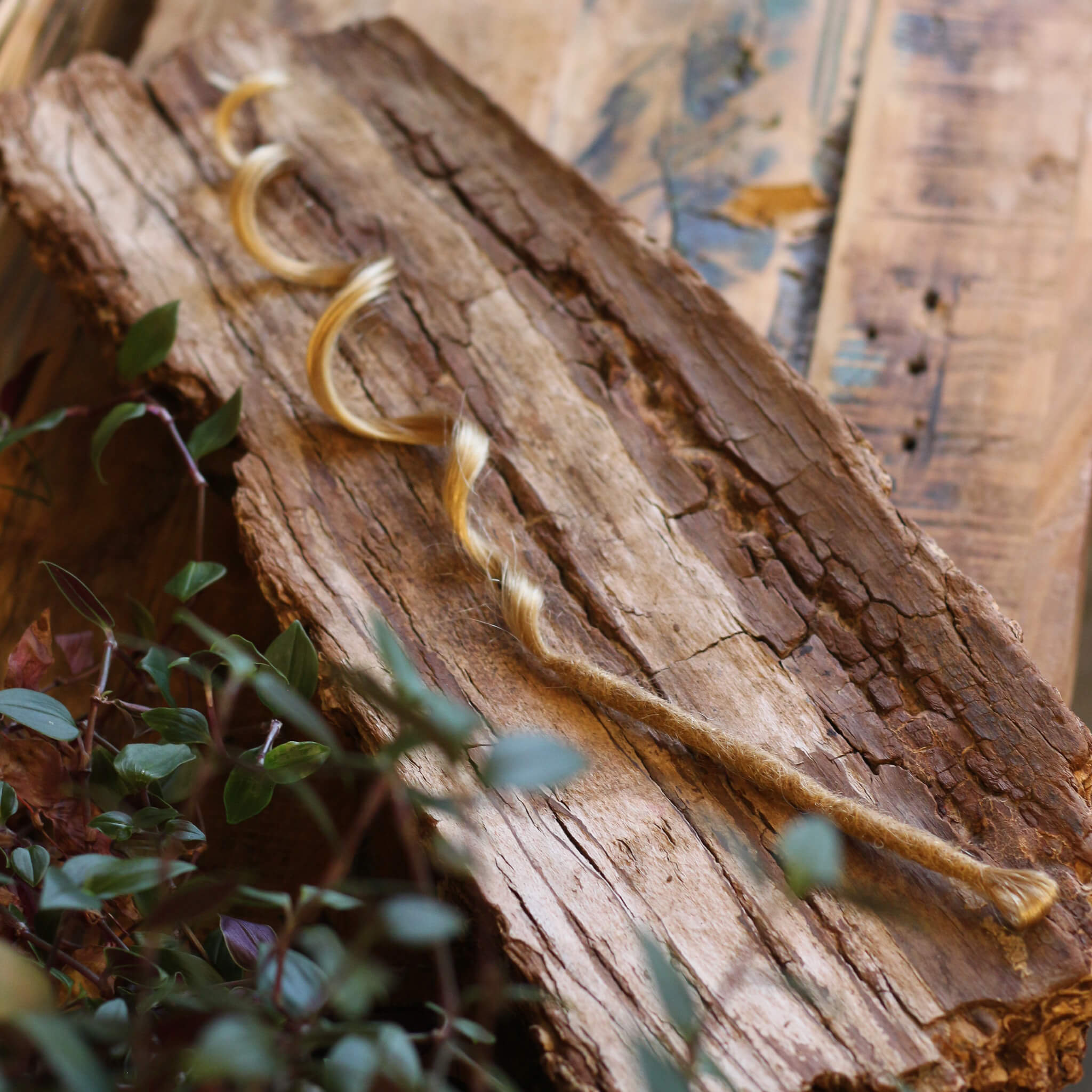 Single Ended (SE) Mermaid / Effect Locks