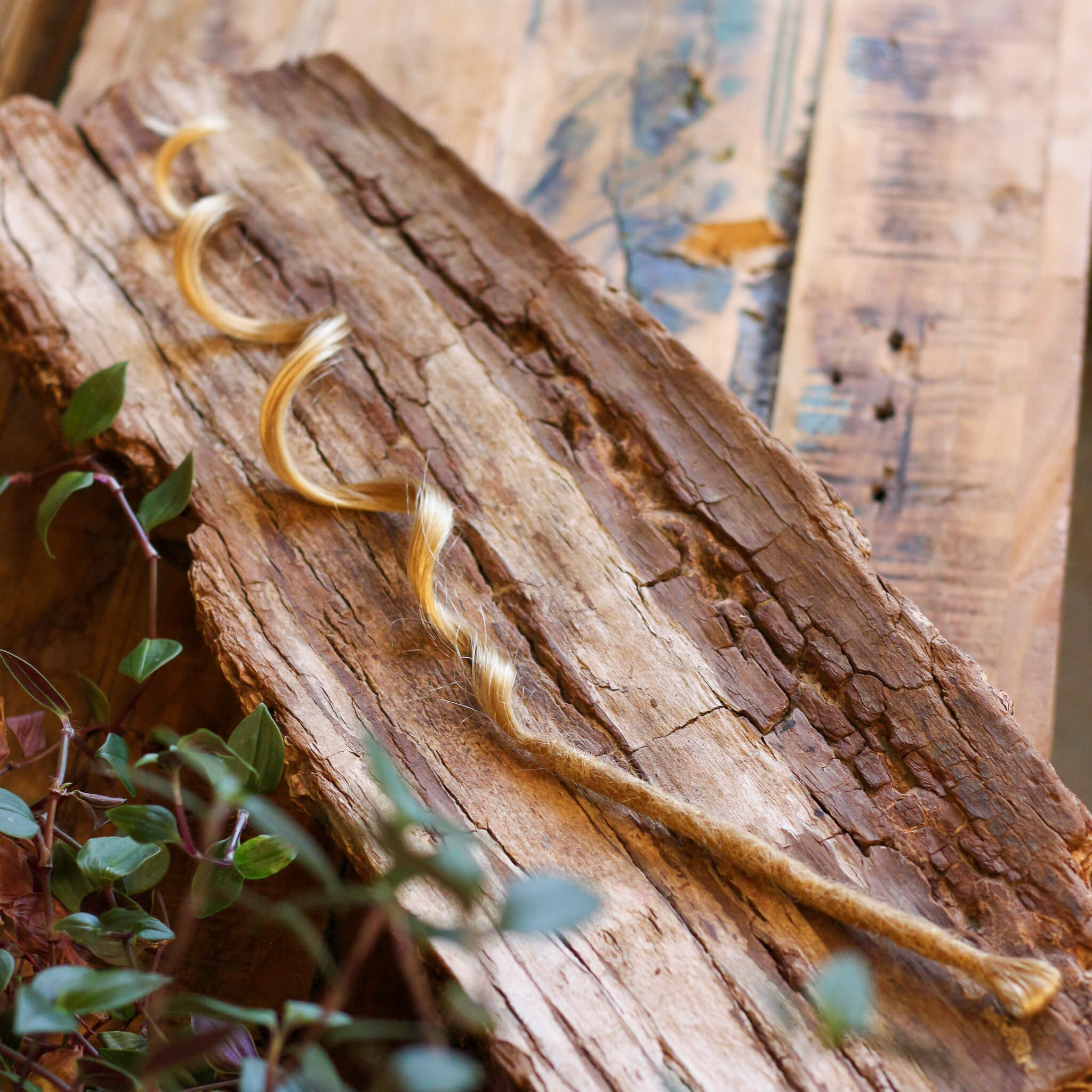 Single Ended (SE) Mermaid / Effect Locks