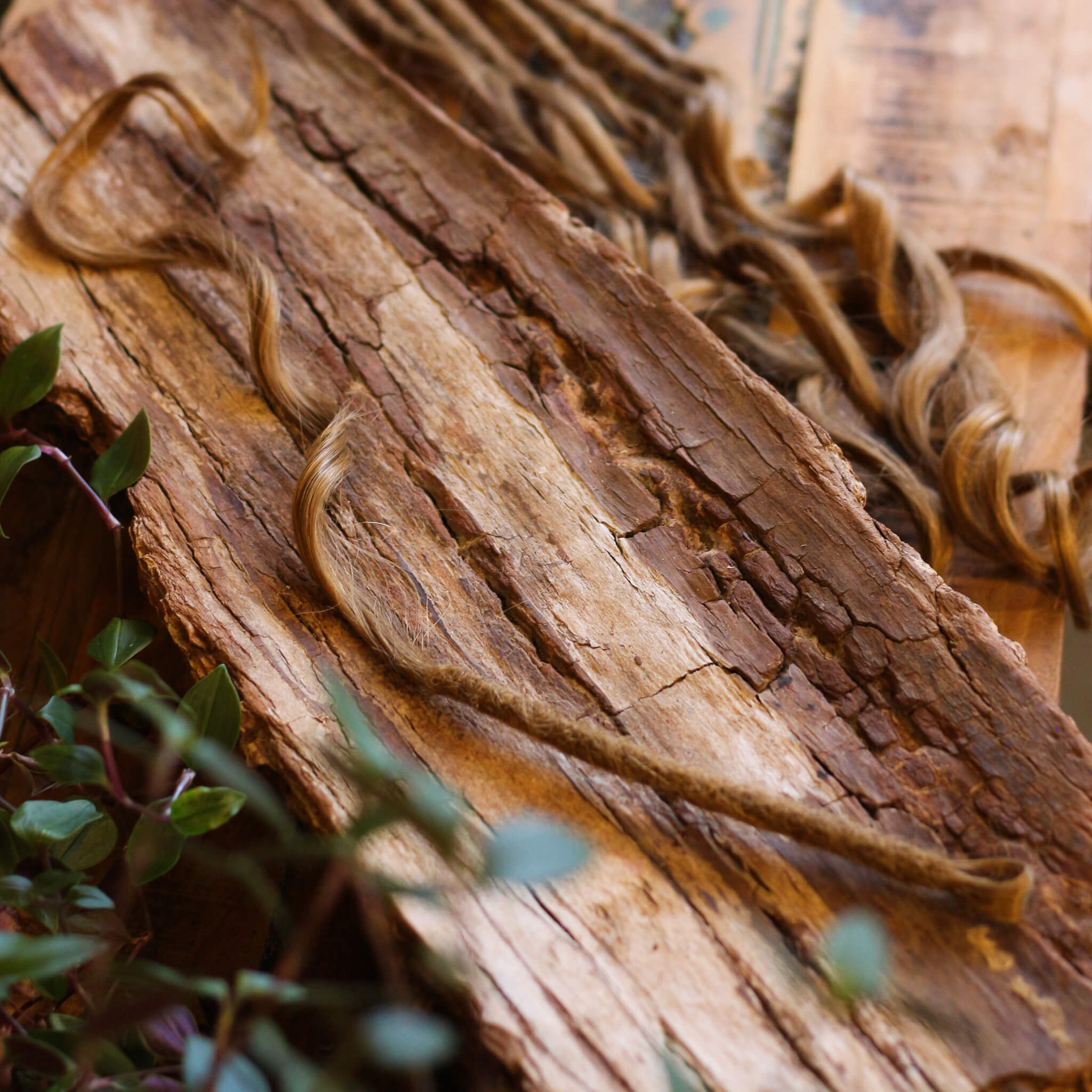 Single Ended (SE) Mermaid / Effect Locks