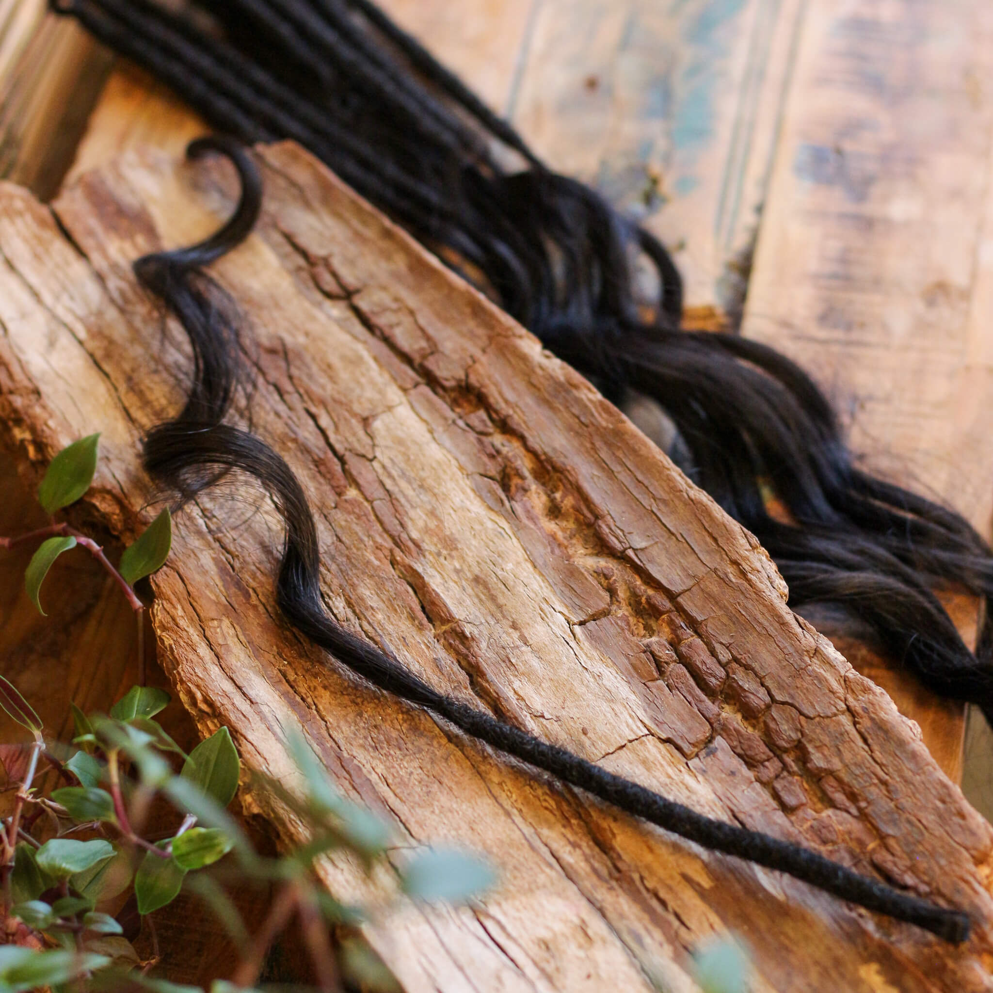 Single Ended (SE) Mermaid / Effect Locks