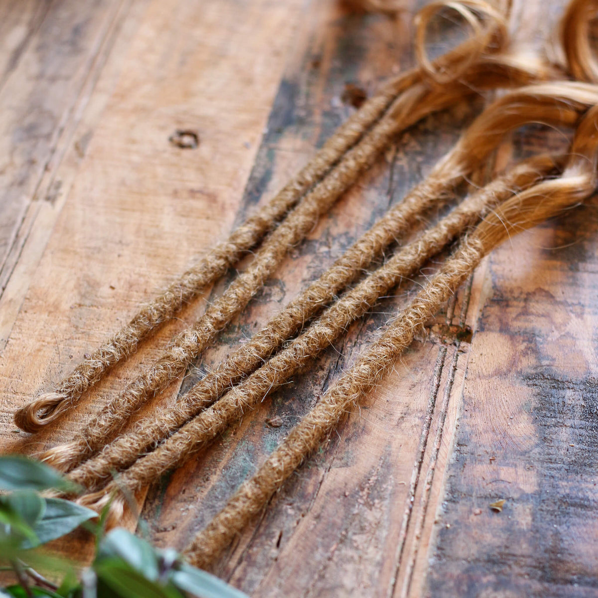Single Ended (SE) Long End Dreadlocks - Blonde