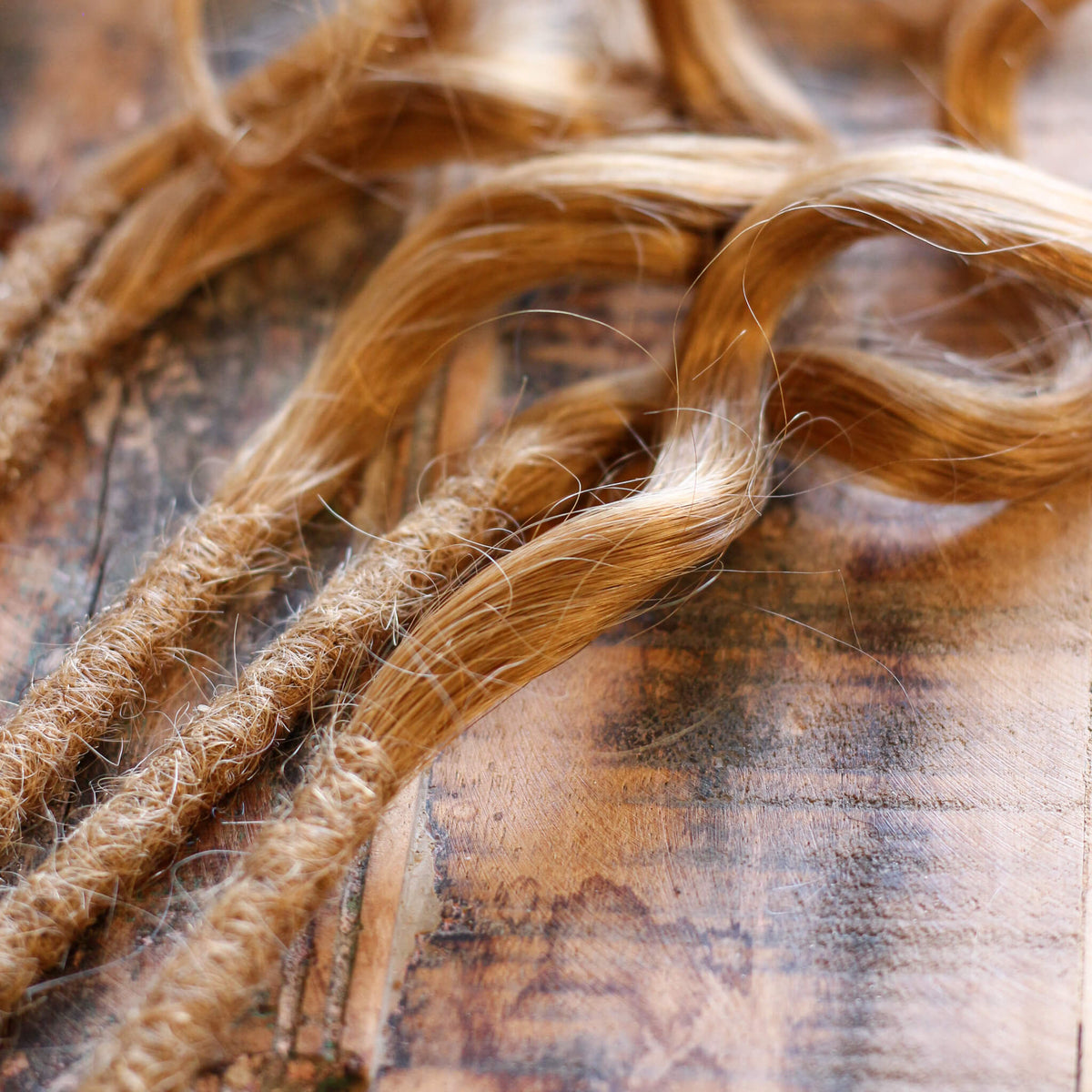 Single Ended (SE) Long End Dreadlocks - Blonde