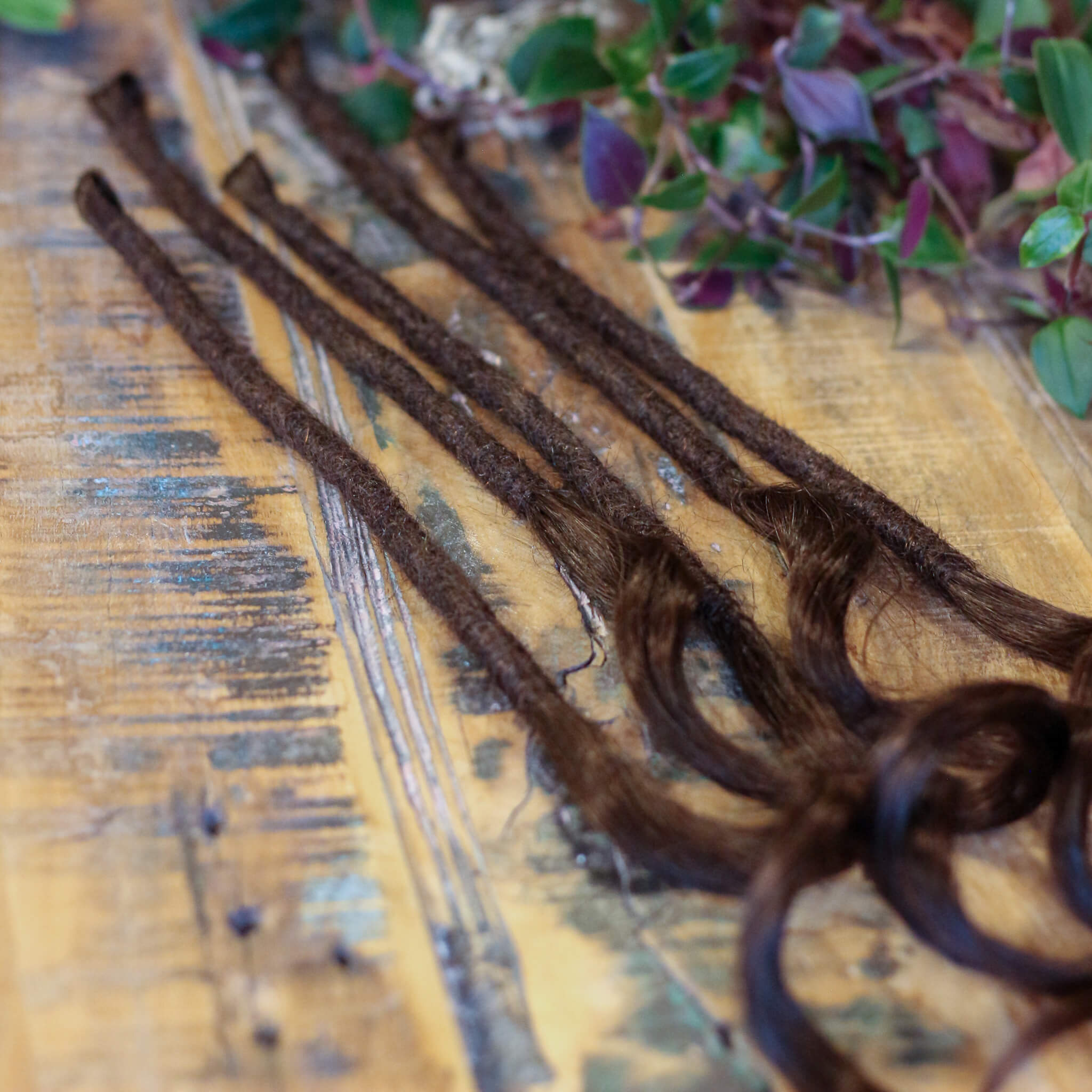 Single Ended (SE) Long End Dreadlocks - Brown