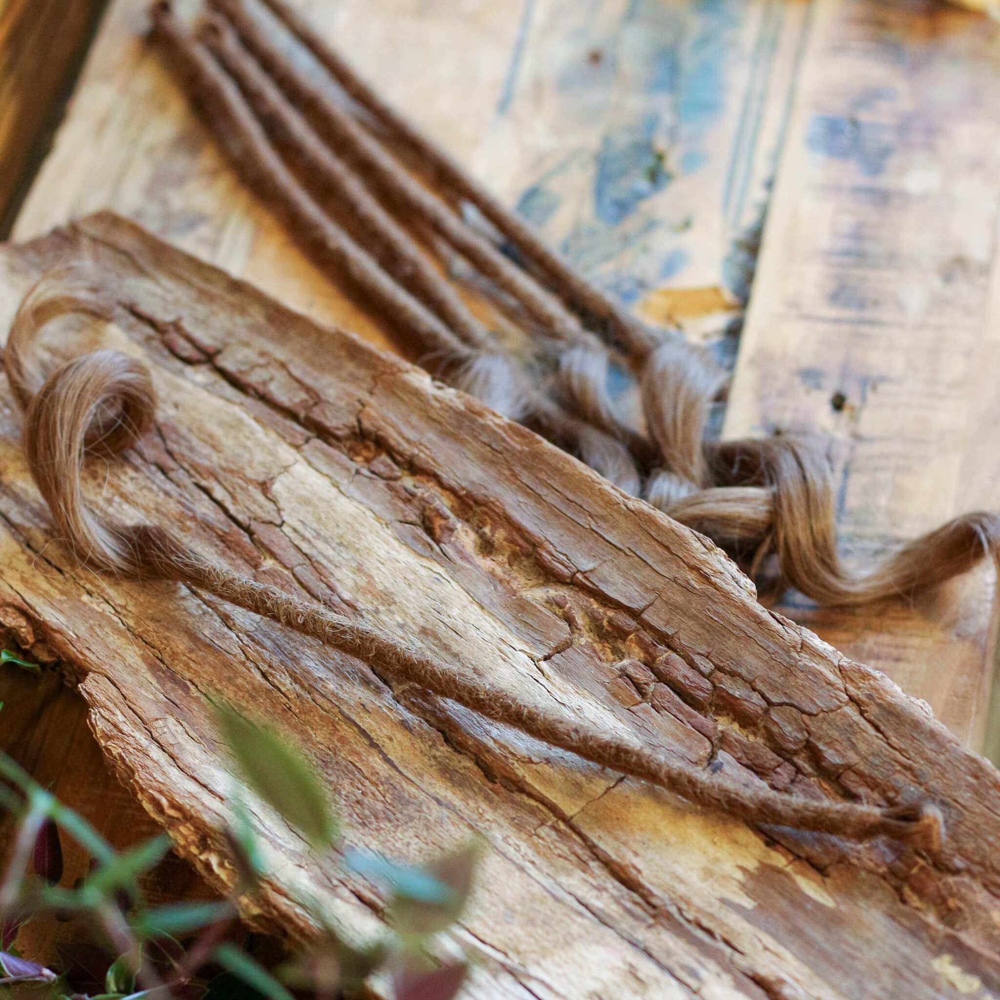 Single Ended (SE) Long End Dreadlocks - Dark Blonde