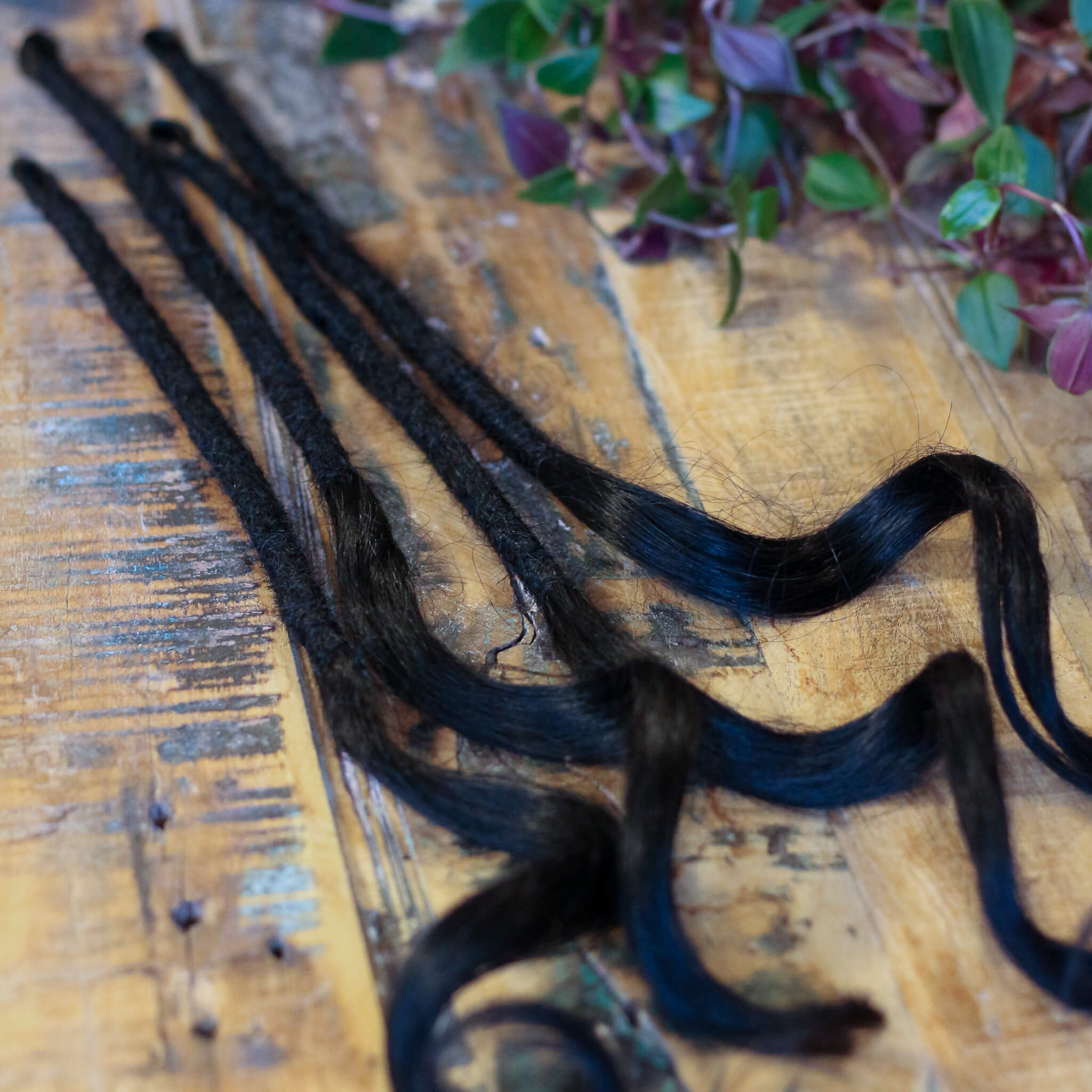 Single Ended (SE) Long End Dreadlocks - Black