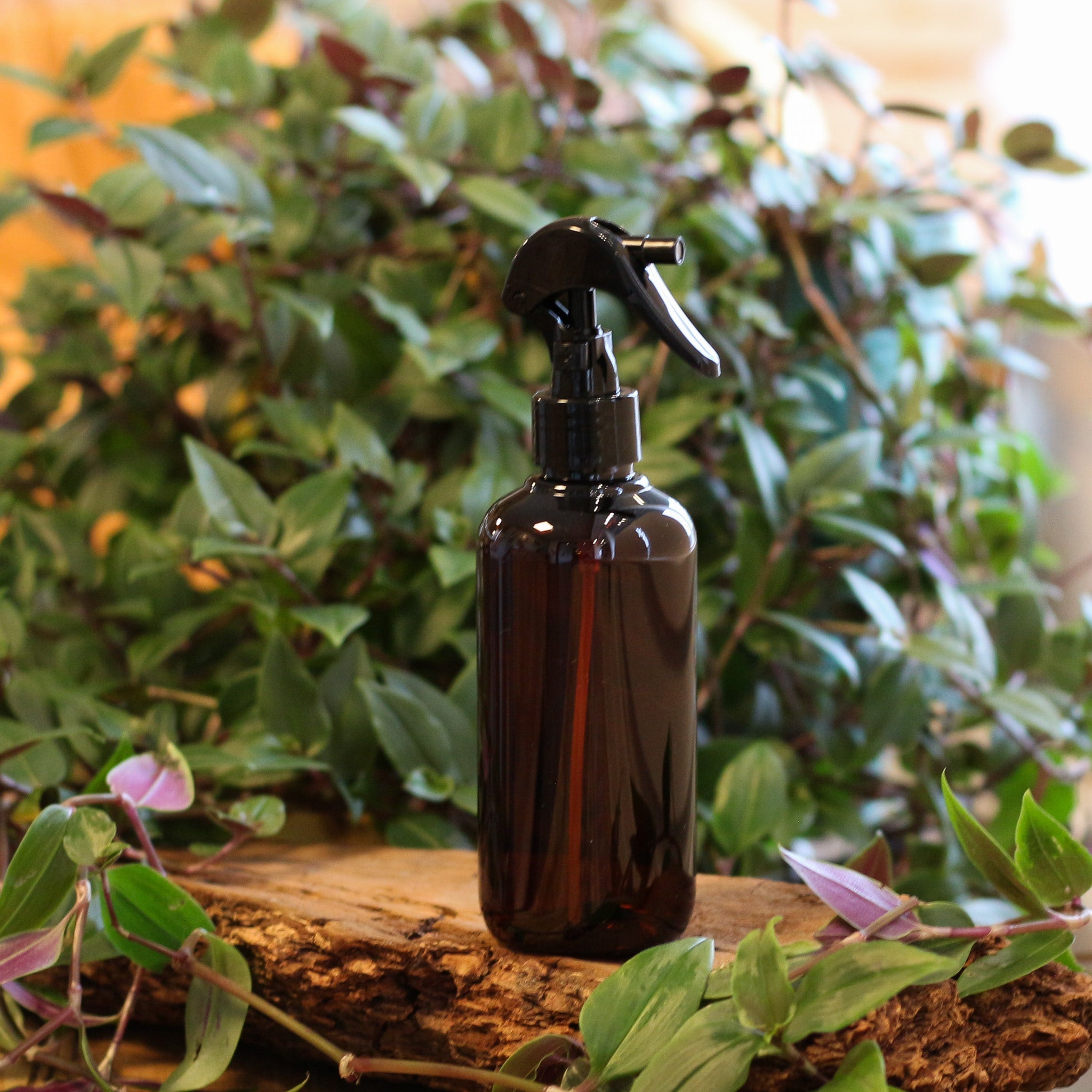 Sprühflasche