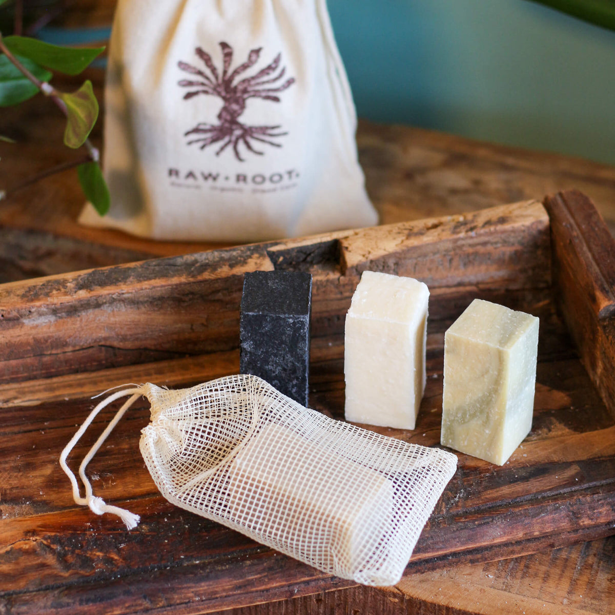 Shampoo Bar Discovery Kit