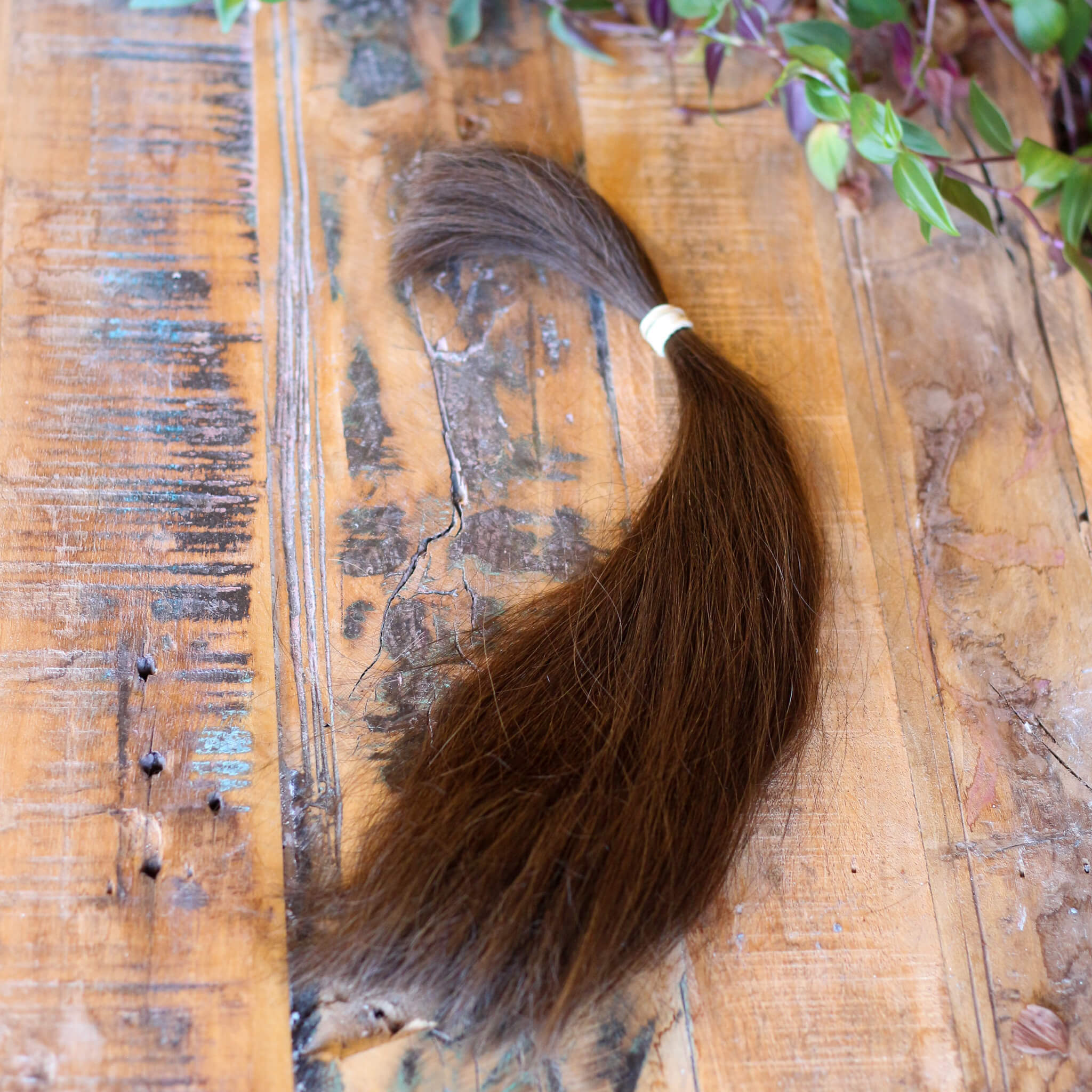 Schnitthaar – Europäisches echt Haar – 25 g