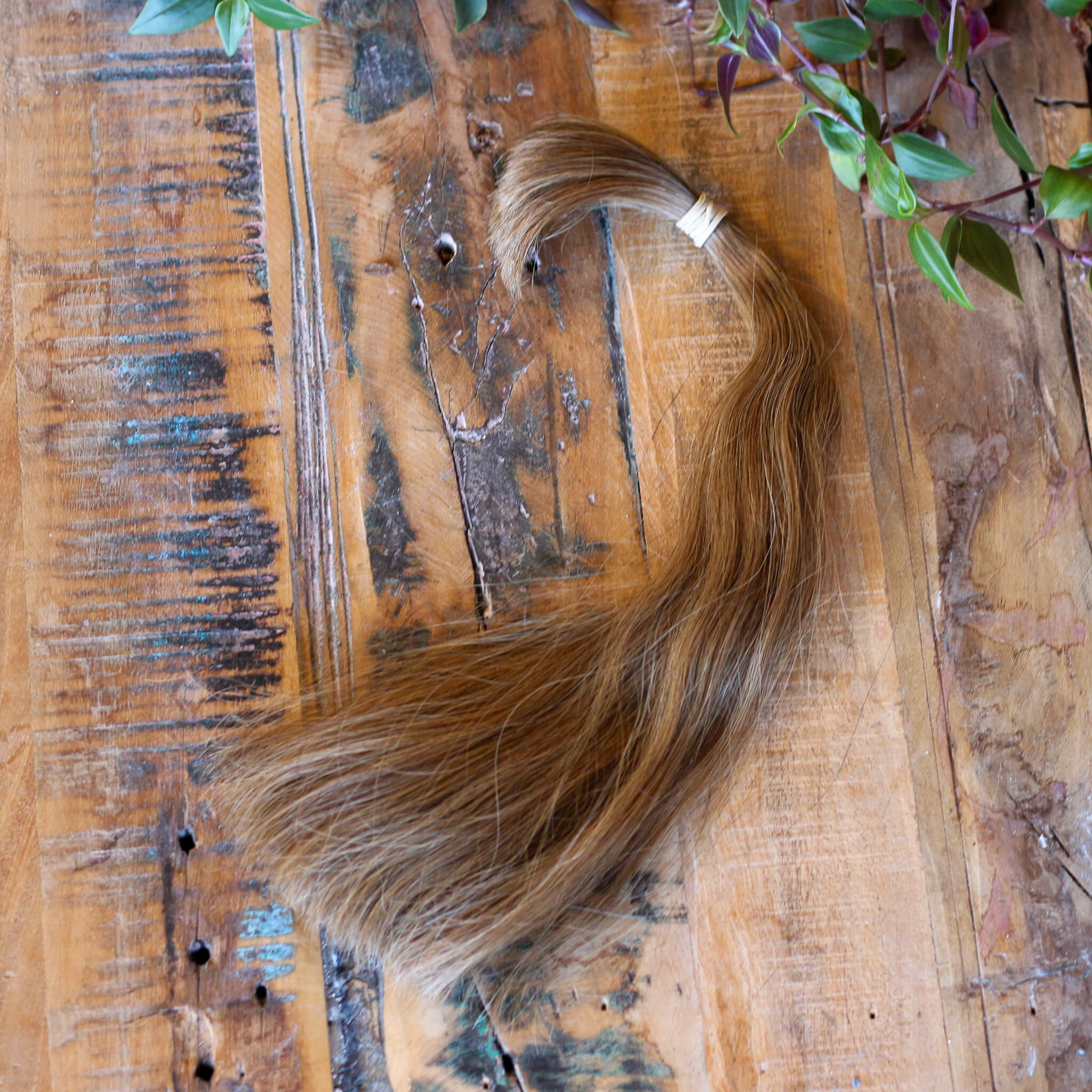 Schnitthaar – Europäisches echt Haar – 25 g