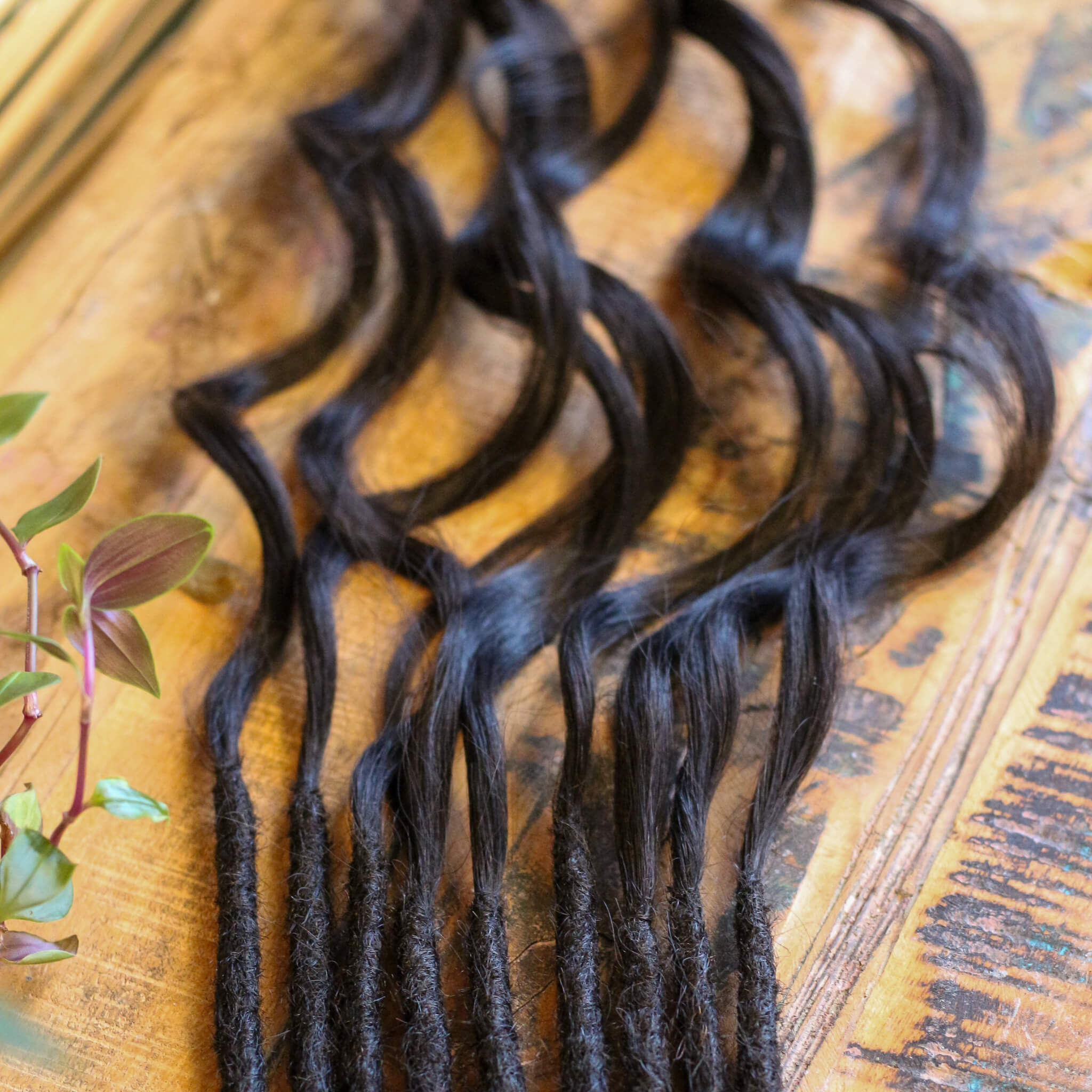 Single Ended (SE) Mermaid / Effect Locks