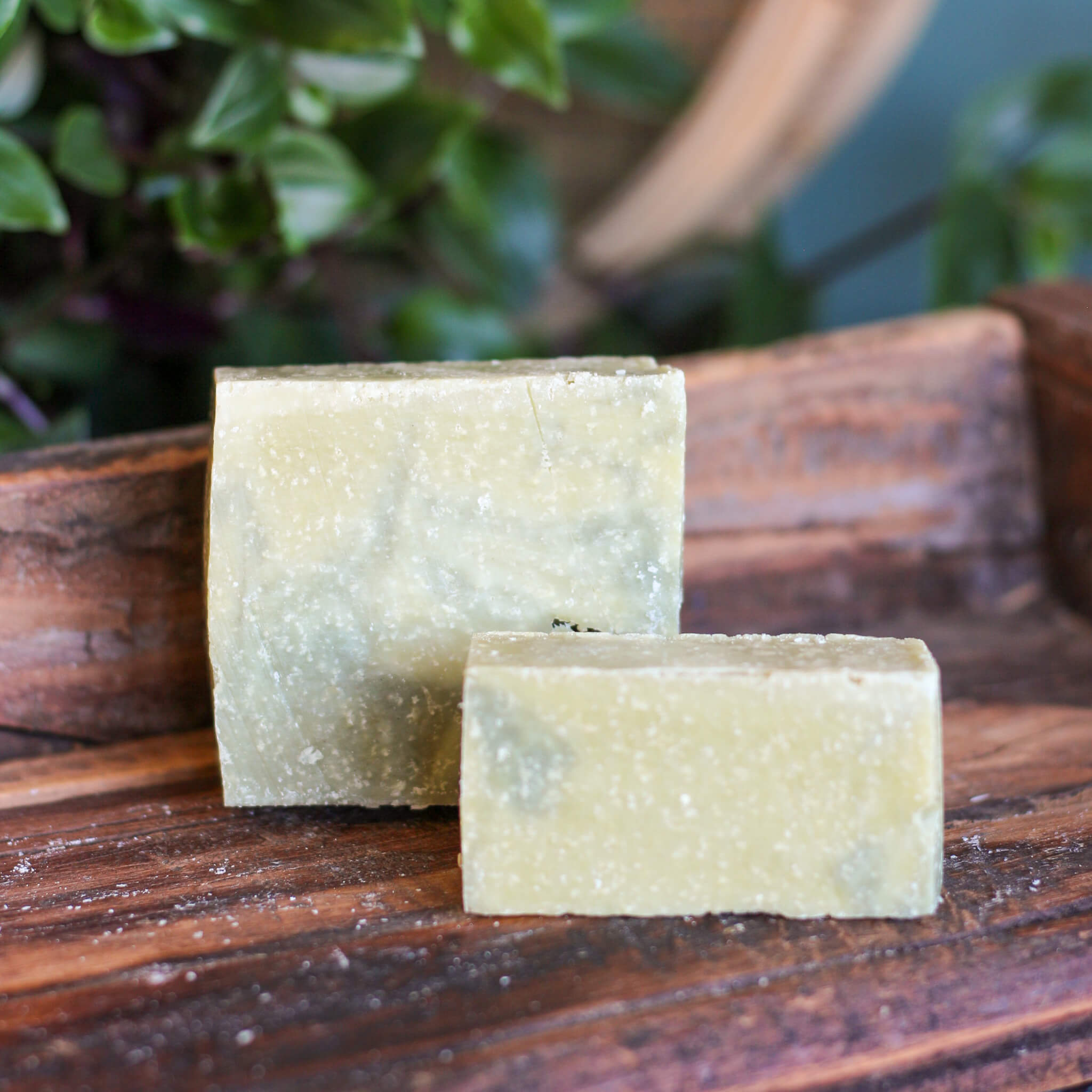Greenie Genie Dreadlock Soap Bar