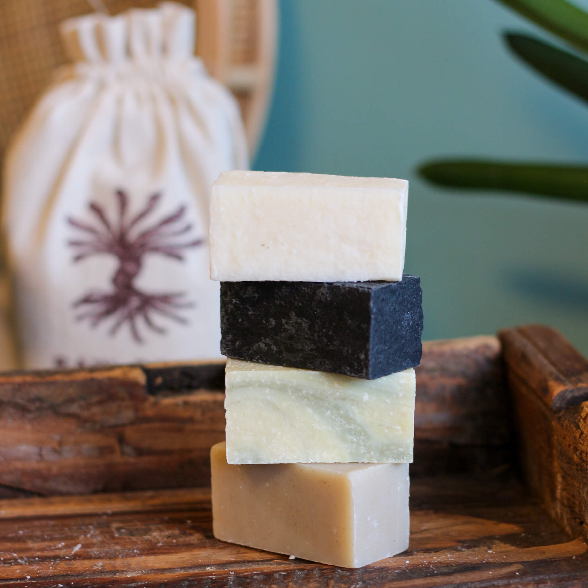 Shampoo Bar Discovery Kit