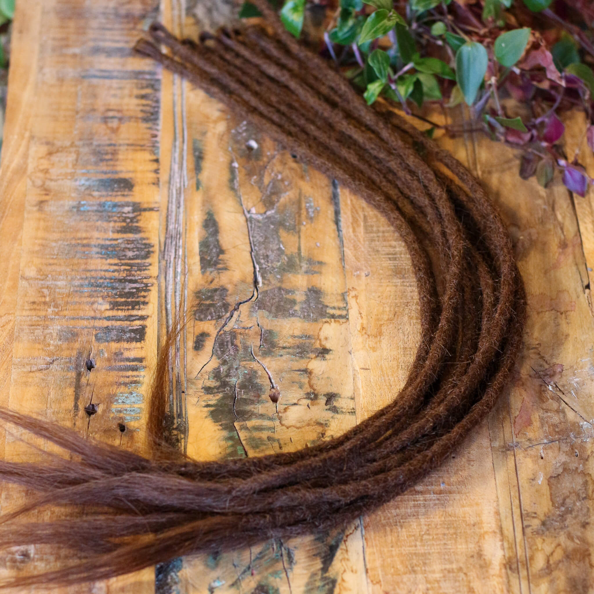 Single Ended (SE) Dreadlock Extensions - Lys Brun