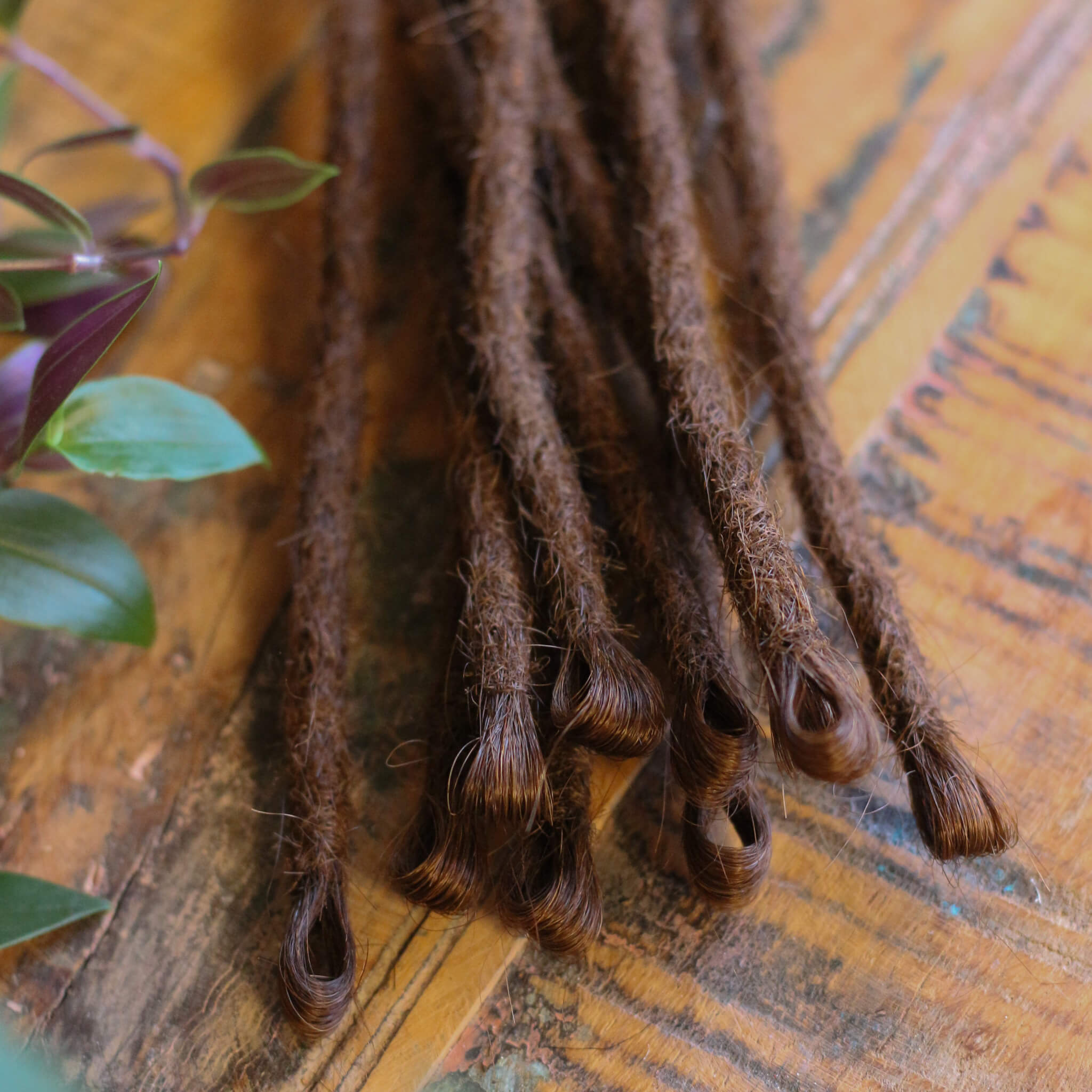 Single Ended (SE) Dreadlock Extensions - Lys Brun