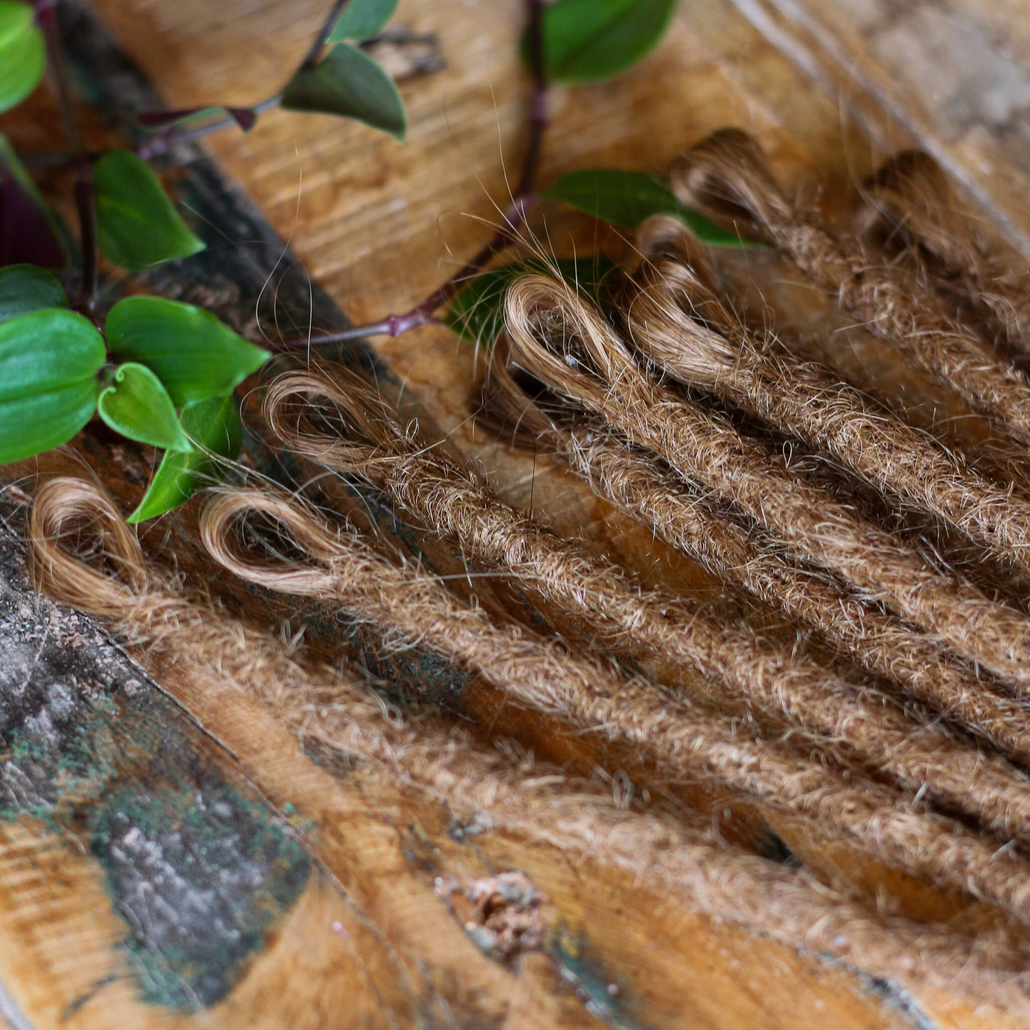 Single Ended (SE) Dreadlock Extensions - Mørkeblond