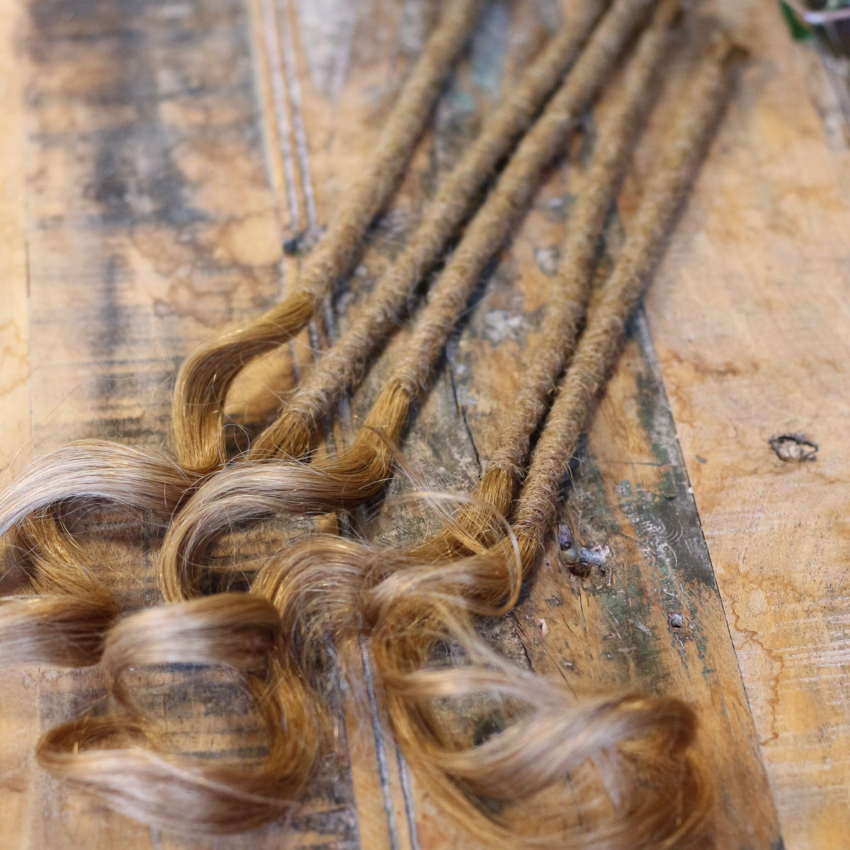 Single Ended (SE) Long End Dreadlocks - Blonde
