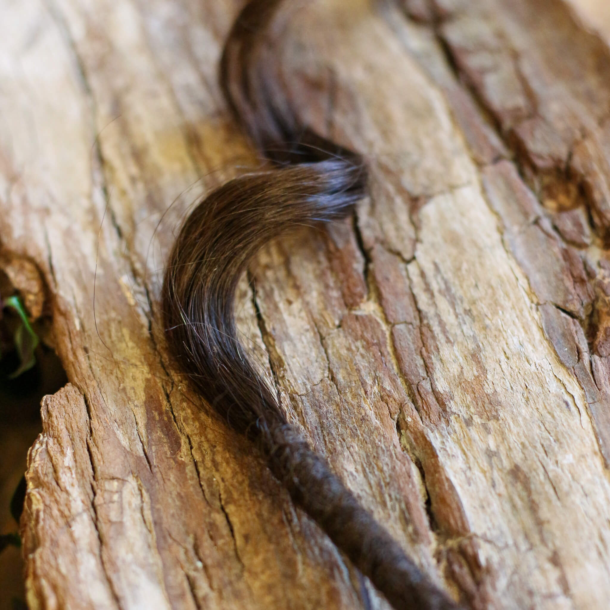 Single Ended (SE) Long End Dreadlocks - Brun