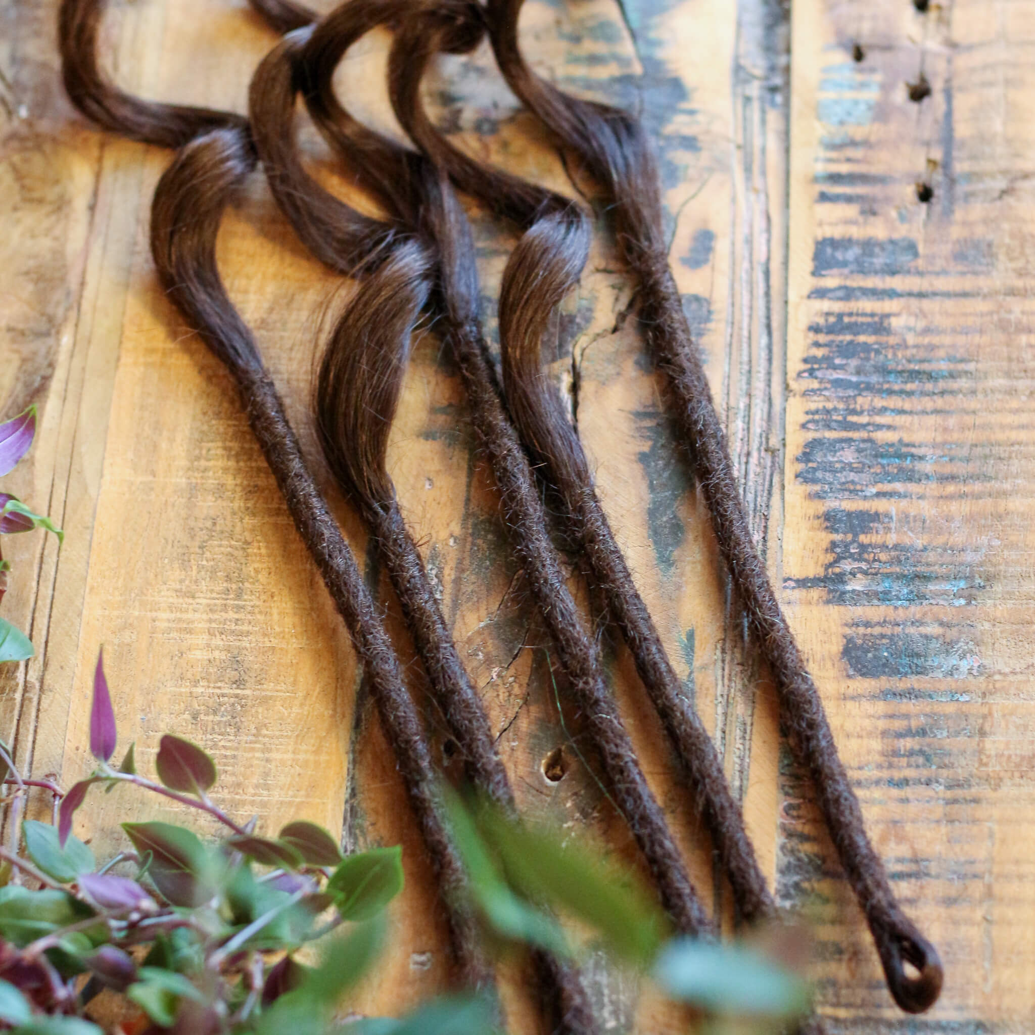 Single Ended (SE) Long End Dreadlocks - Brun