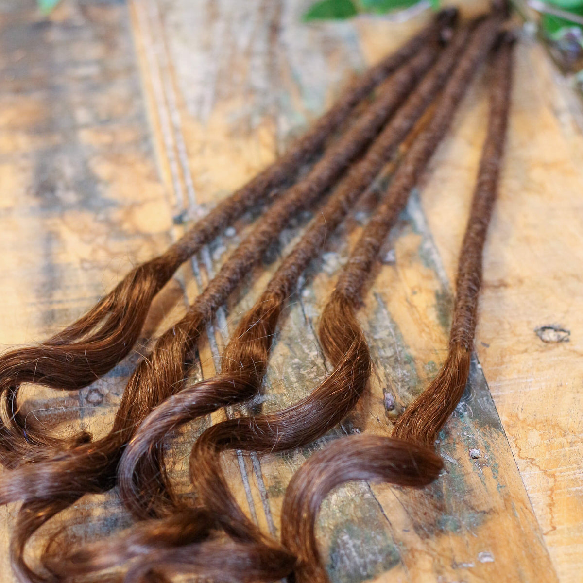 Single Ended (SE) Long End Dreadlocks - Light Brown