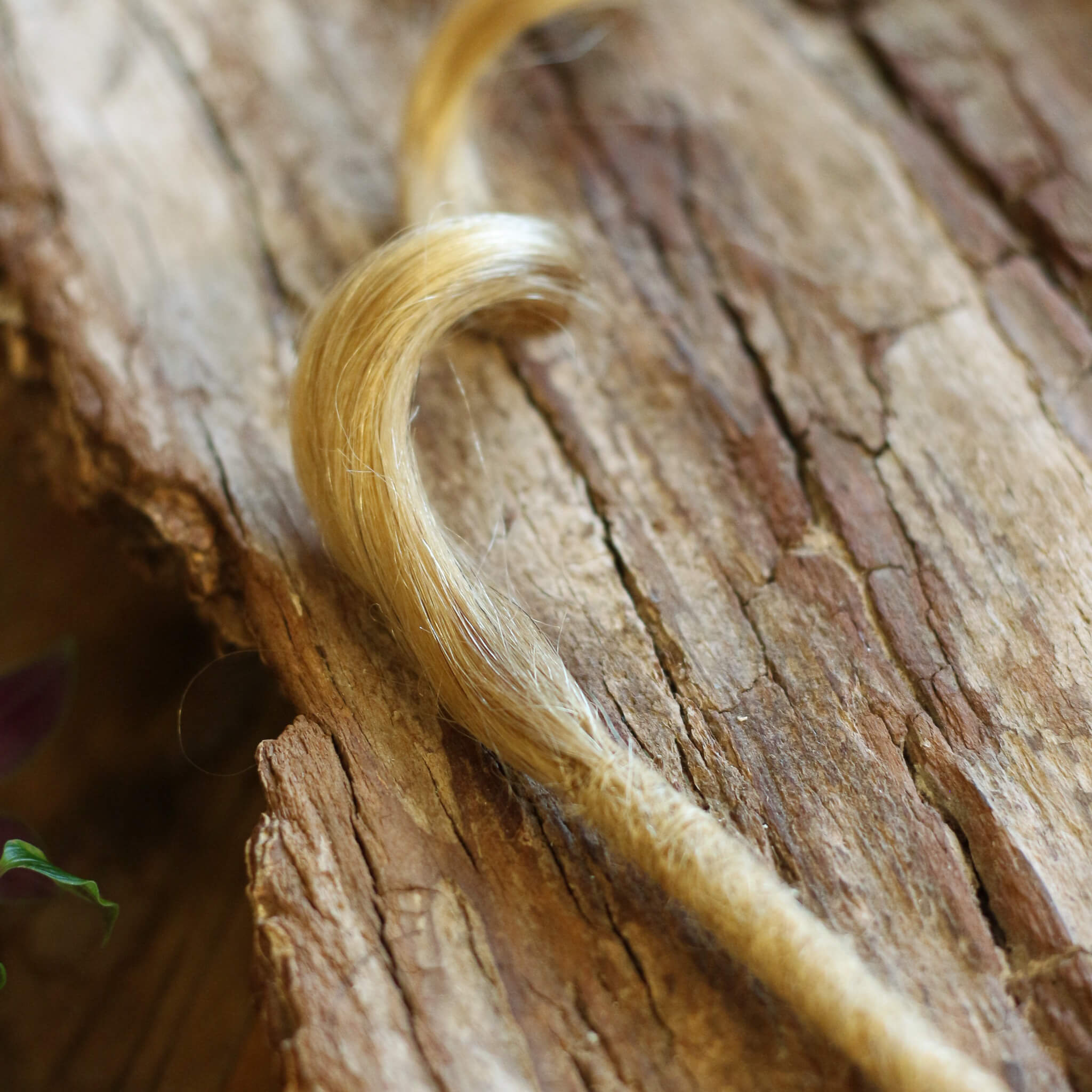 Single Ended (SE) Long End Dreadlocks - Gyldenblond