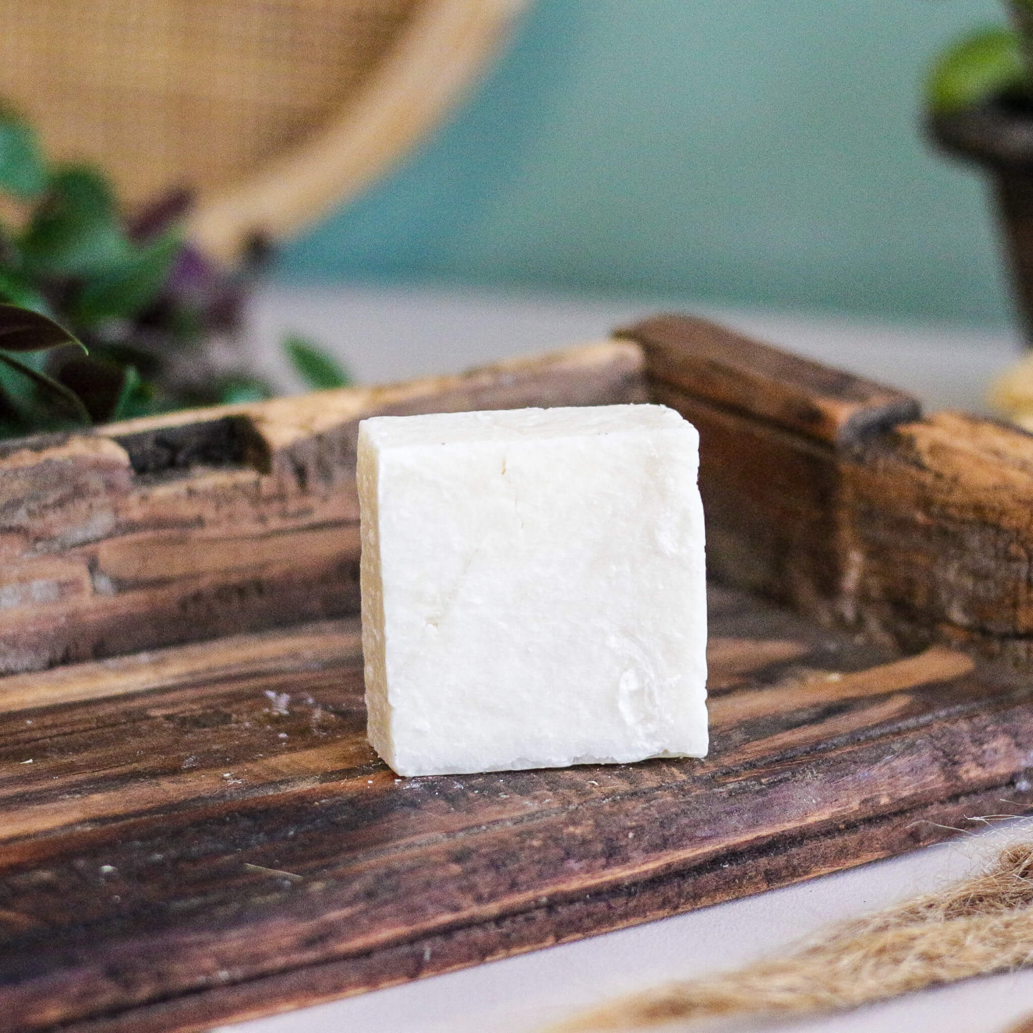 Velvet Bloom - Hydrating Dreadlock Shampoo Bar