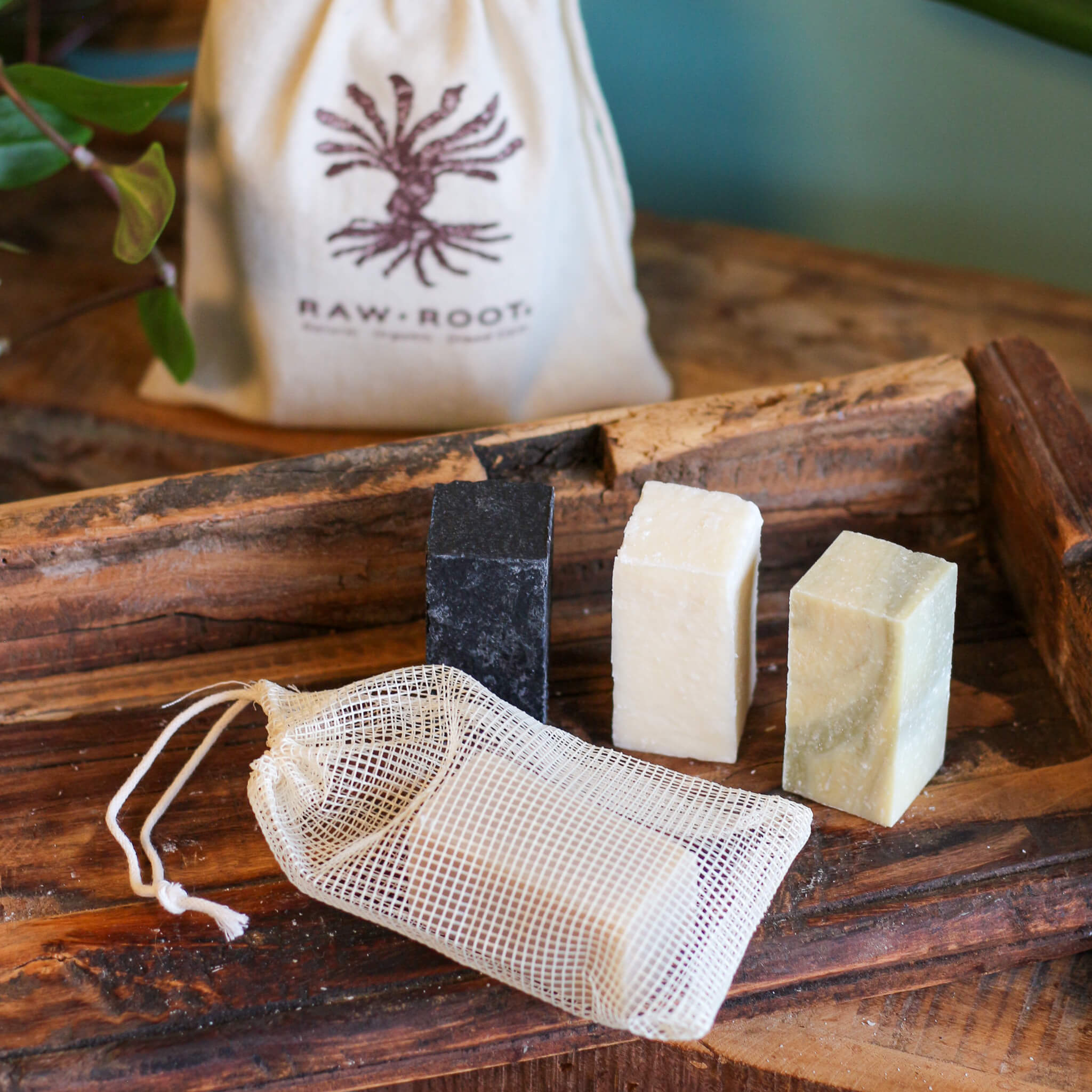 Shampoo Bar Discovery Kit